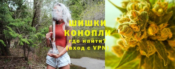 индика Заводоуковск