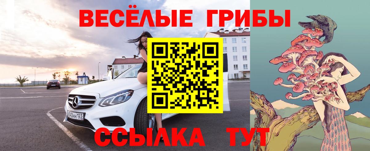 Галлюциногенные грибы Magic Shrooms  Галлюциногенные грибы Cubensis  Камышин  Вход с VPN 